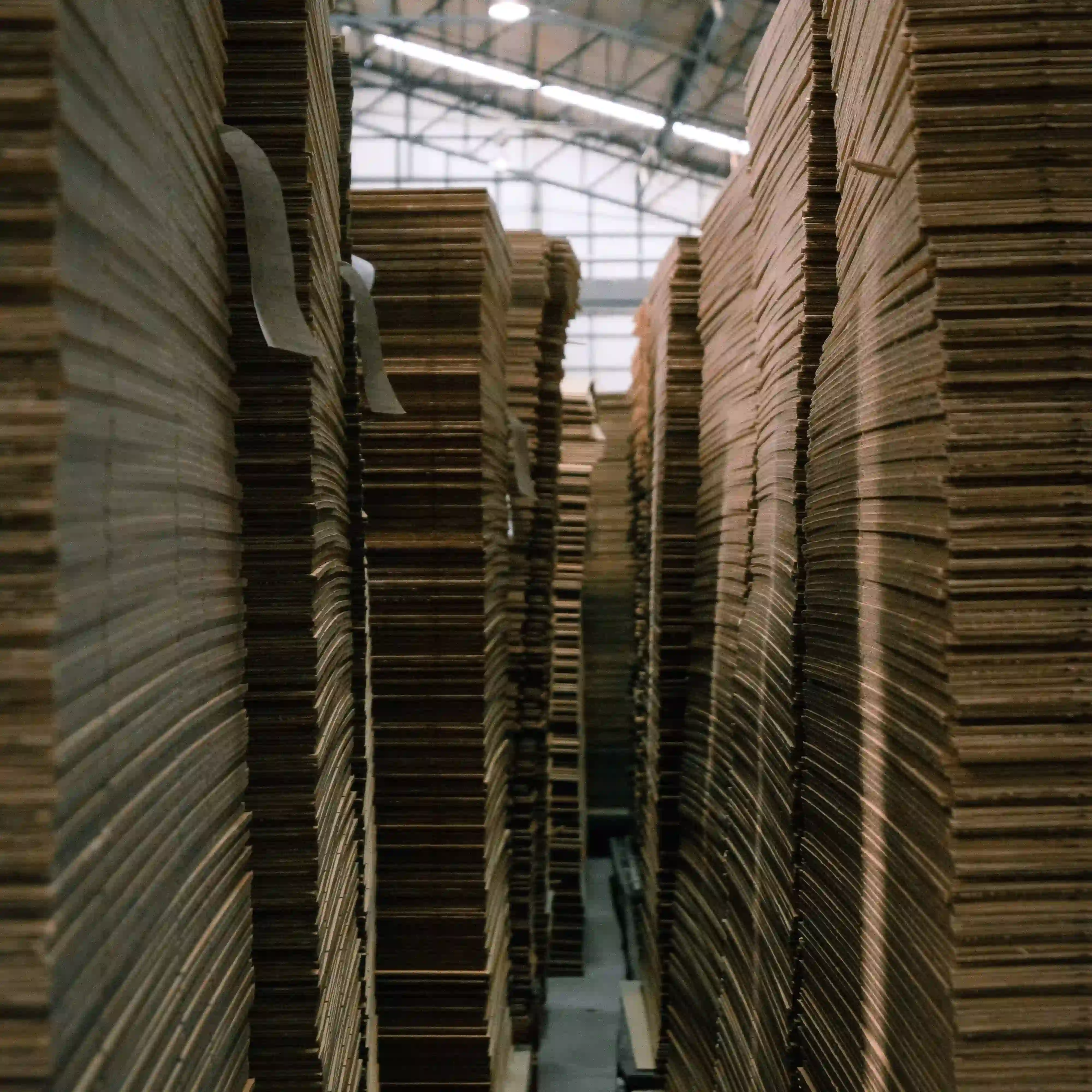 packaging manufacturers in Thailand